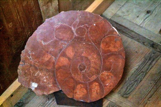 Museo Etnografico "Regole d'Ampezzo"